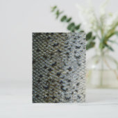 Carte Postale Échelles de poisson 2 (Debout devant)