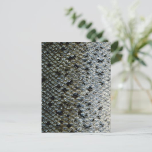 Carte Postale Échelles de poisson 2 (Debout devant)