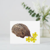 Carte postale Echidna et Frangipani (Debout devant)