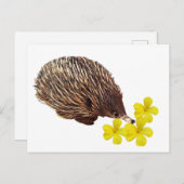 Carte postale Echidna et Frangipani (Devant / Derrière)