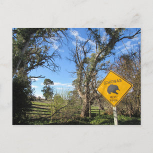 Carte Postale echidnas devant