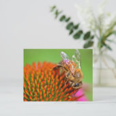 Carte Postale Echinacea Coneflower et Bee (Debout devant)
