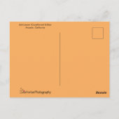 Carte Postale Echinacea Coneflower et Bee (Dos)