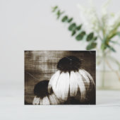 Carte Postale Echinacea Dark Dreams (Debout devant)