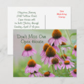 Carte postale Echinacea Flowers - pour toute occas (Devant / Derrière)