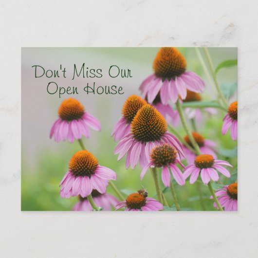 Carte postale Echinacea Flowers - pour toute occas (Devant)