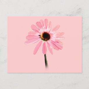Carte Postale Echinacea purpurea