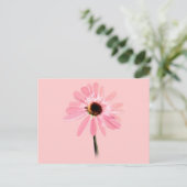 Carte Postale Echinacea purpurea (Debout devant)