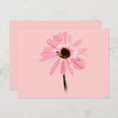 Carte Postale Echinacea purpurea (Devant / Derrière)