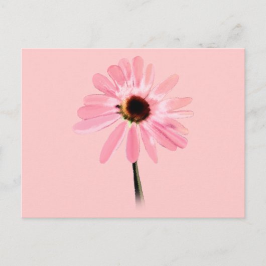 Carte Postale Echinacea purpurea (Devant)