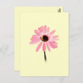 Carte Postale Echinacea purpurea (Devant / Derrière)