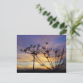 Carte postale Echos Sunset Automne (Debout devant)