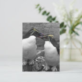 Carte Postale Éclaboussure de couleur de pingouin (Debout devant)