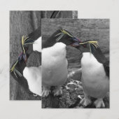 Carte Postale Éclaboussure de couleur de pingouin (Devant / Derrière)