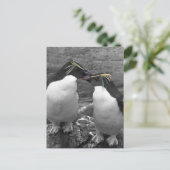 Carte Postale Éclaboussure de couleur de pingouin (Debout devant)
