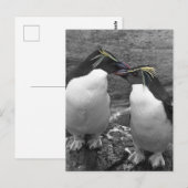 Carte Postale Éclaboussure de couleur de pingouin (Devant / Derrière)