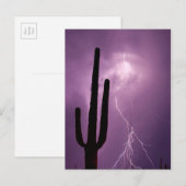 Carte Postale Éclair violet et cactus, AZ (Devant / Derrière)