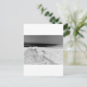 Carte Postale Éclairage de chien (Debout devant)