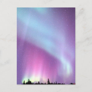 Carte Postale Éclairages du nord Sky Winter Alaska Stars