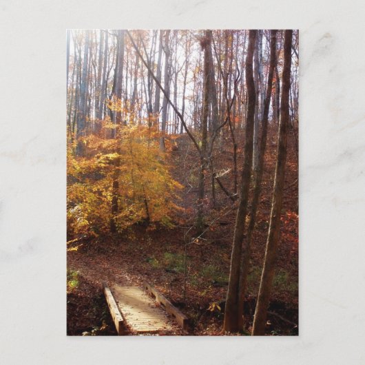 Carte Postale Éclairez mon chemin (Devant)