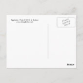 Carte Postale Éclats (Dos)