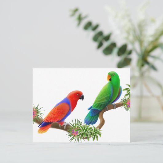 Carte postale Eclectus Birds (Debout devant)