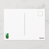 Carte Postale Eclectus Parrot Homme (Dos)