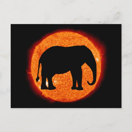 Carte Postale Éclipse solaire éléphant (Devant)