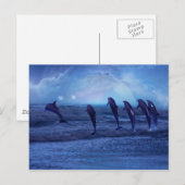 Carte Postale École de dauphins par clair de lune (Devant / Derrière)