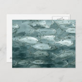 Carte Postale École de poissons Océan Aquarelle Noir Blanc  (Devant / Derrière)