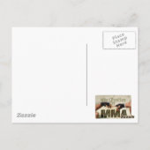 Carte Postale École secondaire mixed martial art (Dos)