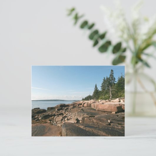 Carte Postale École West Shore (Debout devant)