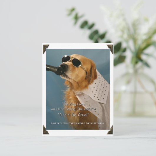 Carte Postale Économisez La Marche Du Chien En Dehors-Leash Séna (Debout devant)