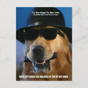 Carte Postale Économisez la marche du chien hors de la laisse me