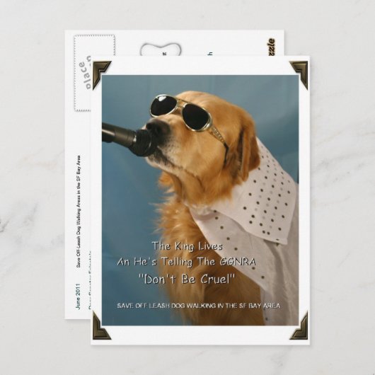 Carte Postale Économisez La Marche Du Chien Sans Leash Sénateur  (Devant / Derrière)