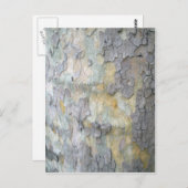 Carte postale écorce d'arbre d'avion de Londres (Devant / Derrière)