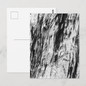 Carte Postale Écorce d'arbre mort (Devant / Derrière)