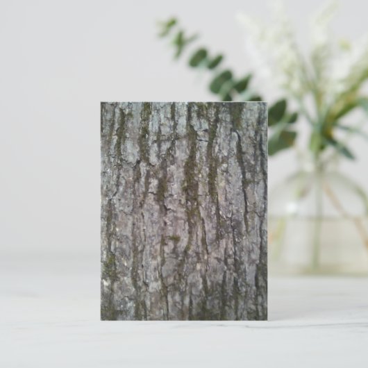 Carte Postale Écorce de chêne blanc (Debout devant)