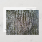 Carte Postale Écorce de chêne blanc (Devant / Derrière)