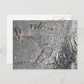 Carte Postale Écorce d'érable en argent (Devant / Derrière)
