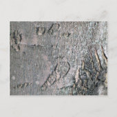 Carte Postale Écorce d'érable en argent (Devant)