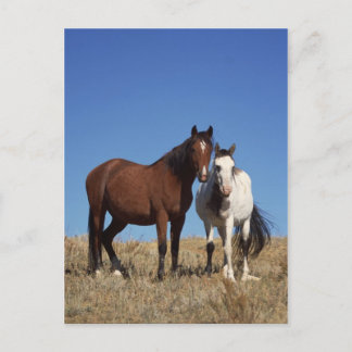 Carte Postale Écordes