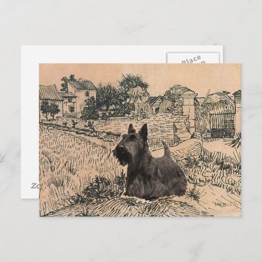 Carte postale écossaise Terrier (Devant / Derrière)