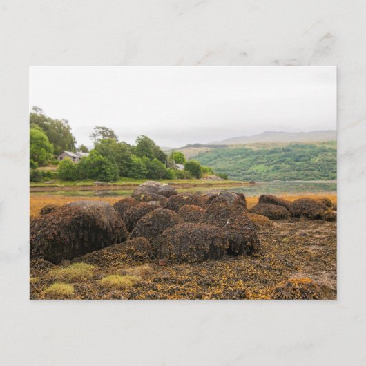 Carte Postale Écosse (Devant)