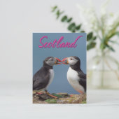 Carte Postale Écosse (Debout devant)