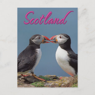 Carte Postale Écosse