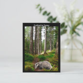 Carte Postale Ecosse au printemps (Debout devant)