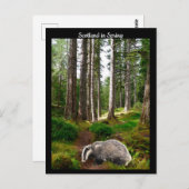 Carte Postale Ecosse au printemps (Devant / Derrière)