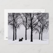 Carte Postale Ecosse dans Snowy Woods (Devant / Derrière)