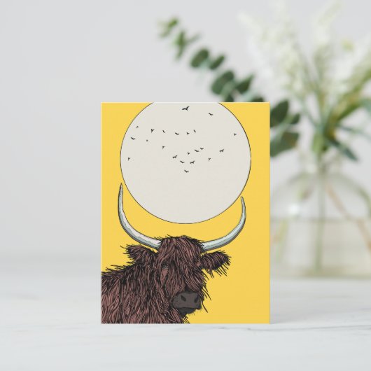 Carte Postale Écosse Highland Cow (Debout devant)